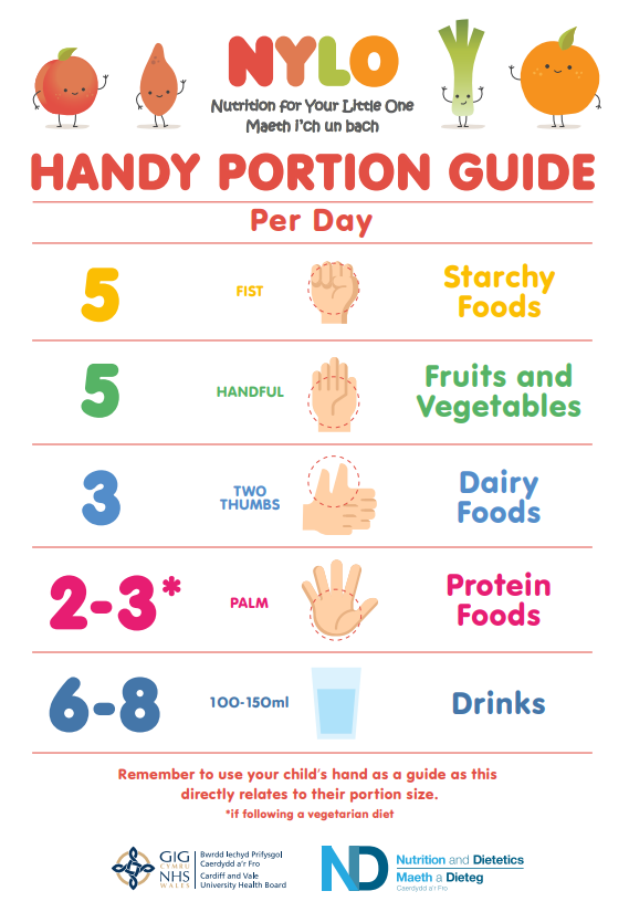 Handy Portion Guide