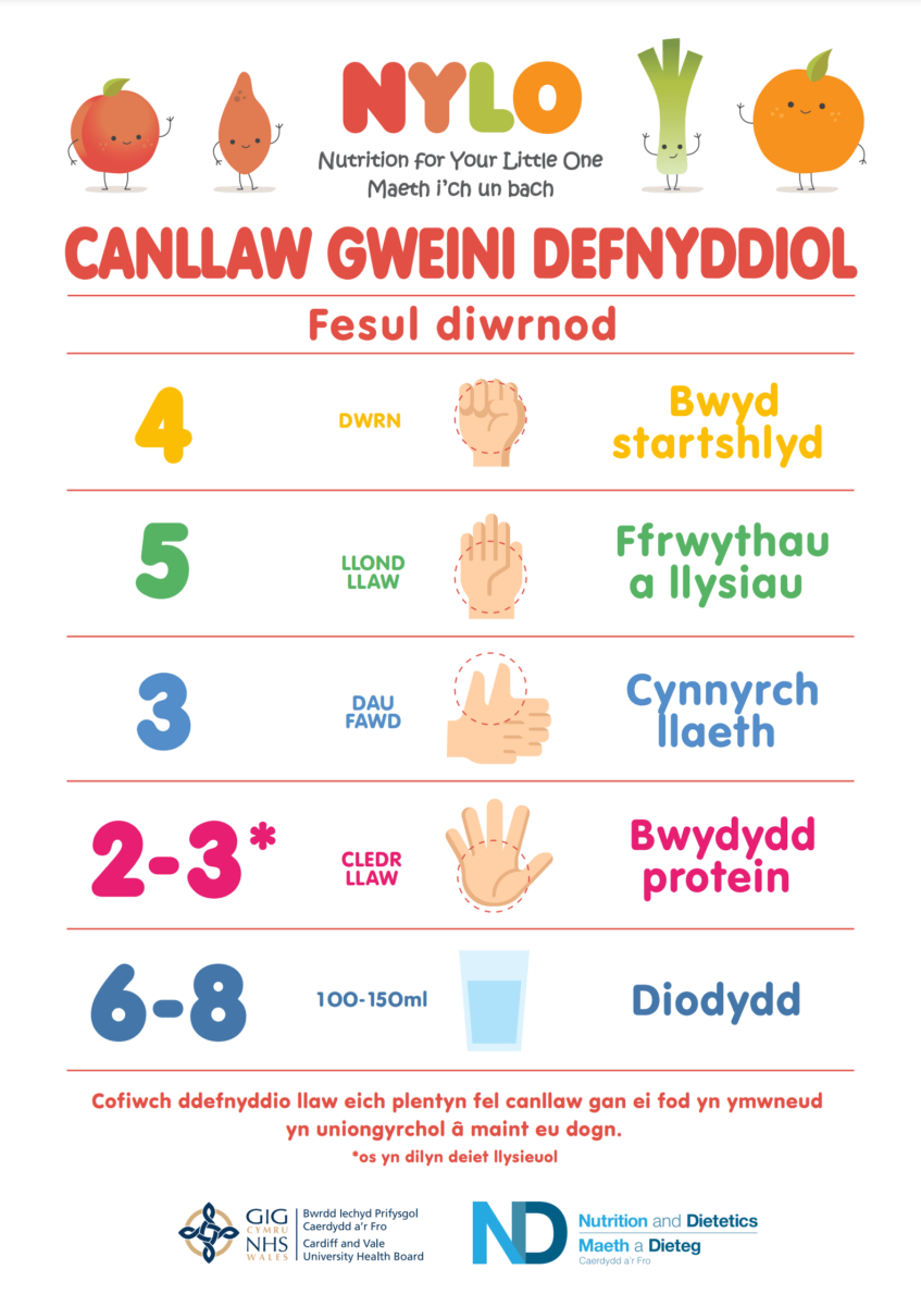 Canllaw Gweini Defnyddiol